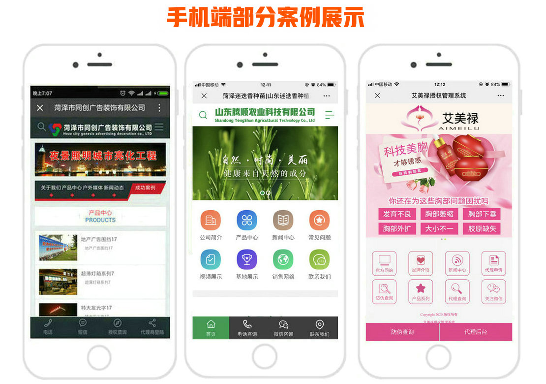 WX型無油旋片式真空泵結構圖